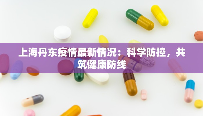 上海丹东疫情最新情况：科学防控，共筑健康防线