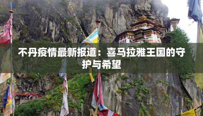 最新疫情两案九制：守护健康的智慧之钥