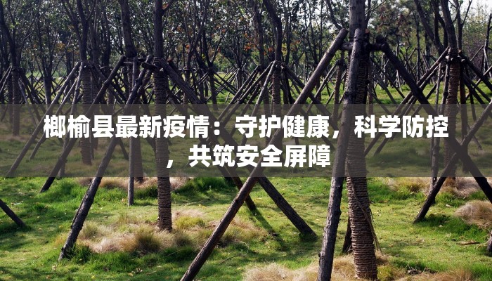 师桥最新疫情最新通报