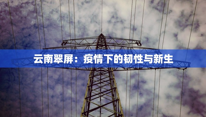 邹城疫情通报最新：科学防控，共克时艰