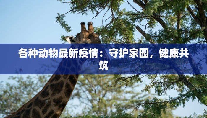 各种动物最新疫情：守护家园，健康共筑