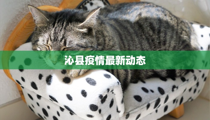 沁县疫情最新动态