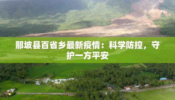 那坡县百省乡最新疫情：科学防控，守护一方平安