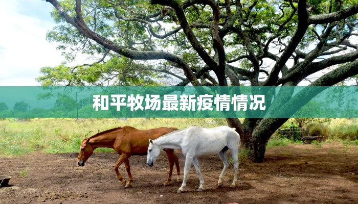 最新沈阳疫情最新消息