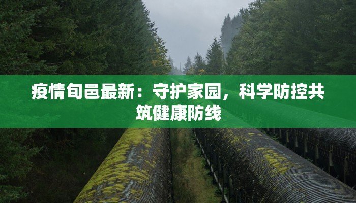 疫情旬邑最新：守护家园，科学防控共筑健康防线