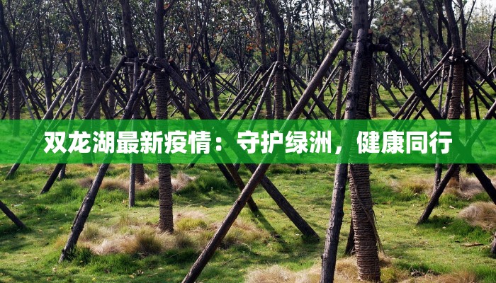 双龙湖最新疫情：守护绿洲，健康同行