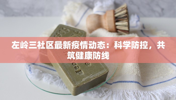 左岭三社区最新疫情动态：科学防控，共筑健康防线
