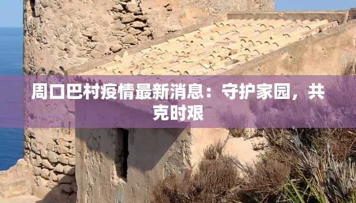 周口巴村疫情最新消息：守护家园，共克时艰