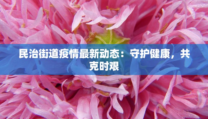 宝蓝最新疫情消息