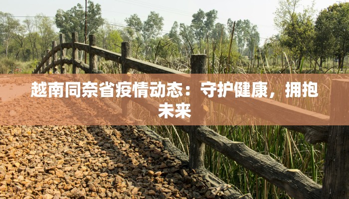 越南同奈省疫情动态：守护健康，拥抱未来
