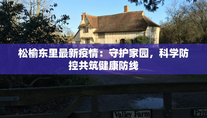 松榆东里最新疫情：守护家园，科学防控共筑健康防线