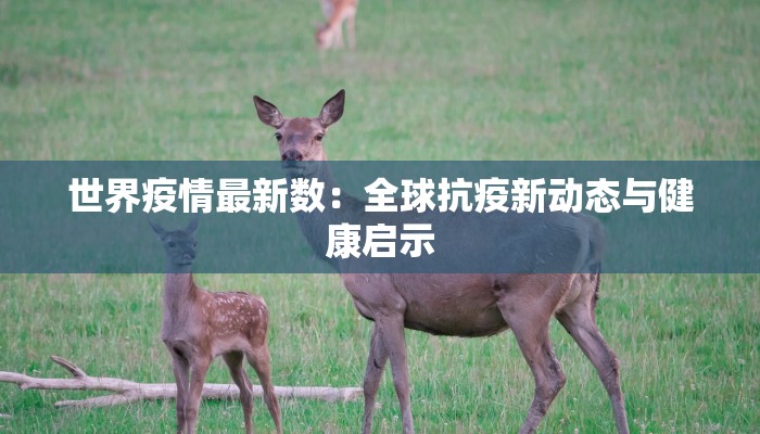 世界疫情最新数：全球抗疫新动态与健康启示