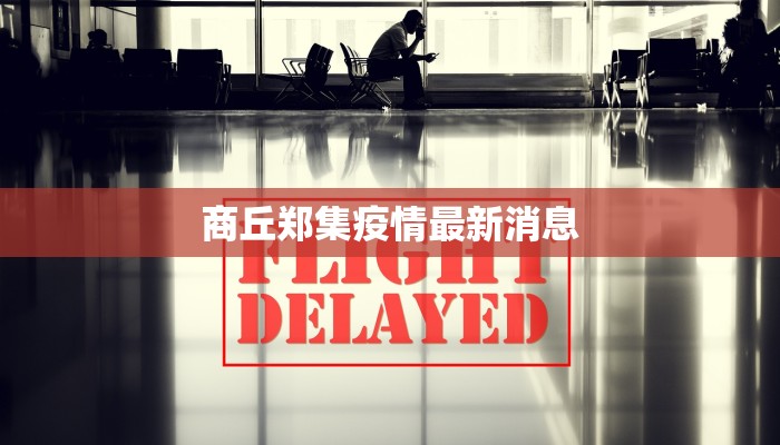 上海最新疫情实时发布