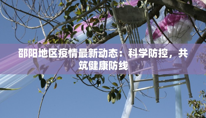 邵阳地区疫情最新动态：科学防控，共筑健康防线