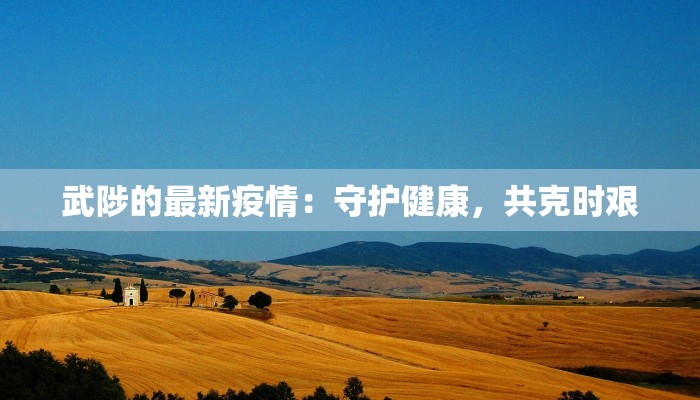 武陟的最新疫情：守护健康，共克时艰