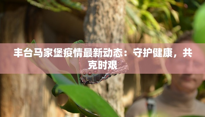 丰台马家堡疫情最新动态：守护健康，共克时艰