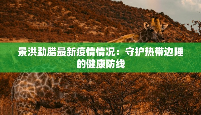 安微天长最新疫情：科学防控守护健康家园