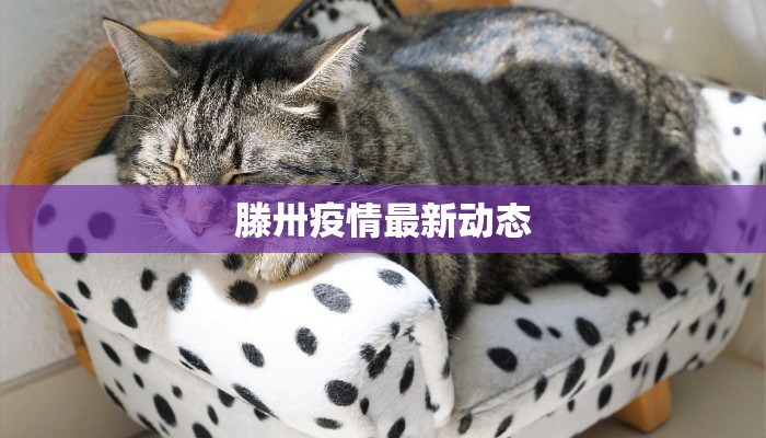 滕卅疫情最新动态