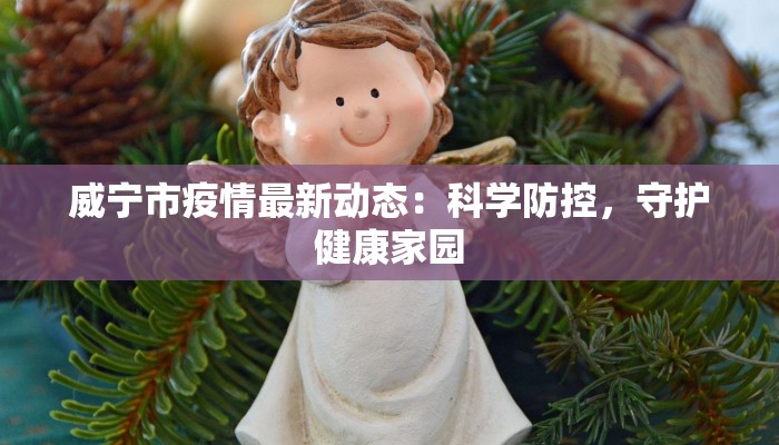 威宁市疫情最新动态：科学防控，守护健康家园