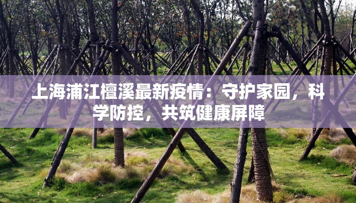 澳门疫情昨天最新消息：守护健康，拥抱未来