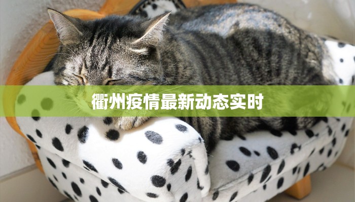 衢州疫情最新动态实时