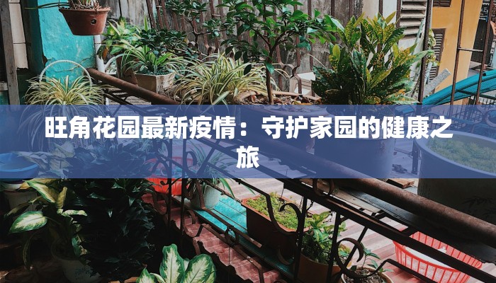 旺角花园最新疫情：守护家园的健康之旅