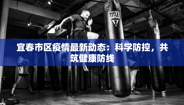 宜春市区疫情最新动态：科学防控，共筑健康防线