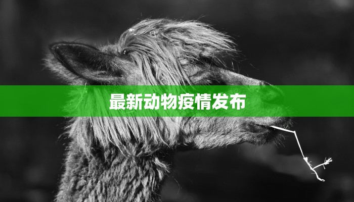 最新动物疫情发布