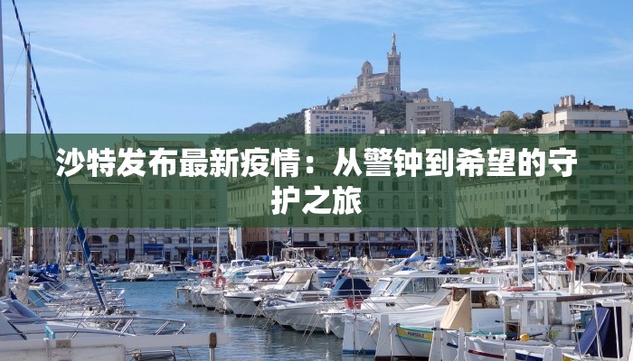 靖州最新疫情：科学防控，守护健康家园