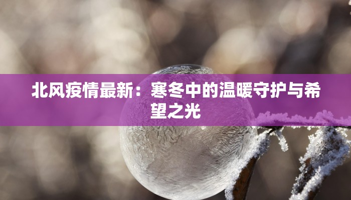 北风疫情最新：寒冬中的温暖守护与希望之光