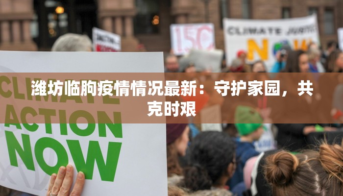 潍坊临朐疫情情况最新：守护家园，共克时艰