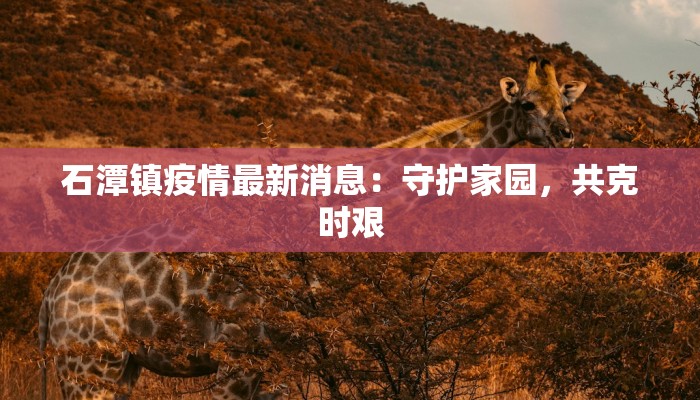 石潭镇疫情最新消息：守护家园，共克时艰
