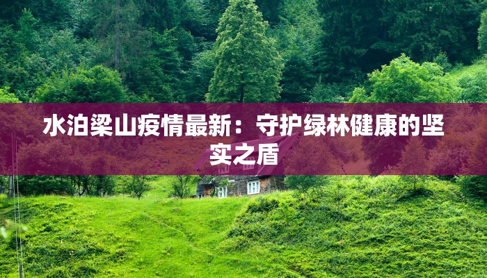 水泊梁山疫情最新：守护绿林健康的坚实之盾
