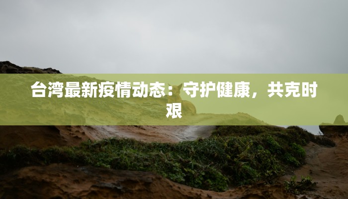 台湾最新疫情动态：守护健康，共克时艰