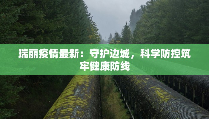 瑞丽疫情最新：守护边城，科学防控筑牢健康防线