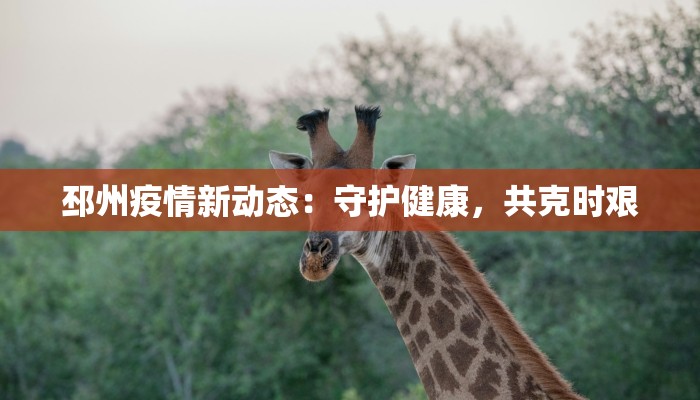 邳州疫情新动态：守护健康，共克时艰