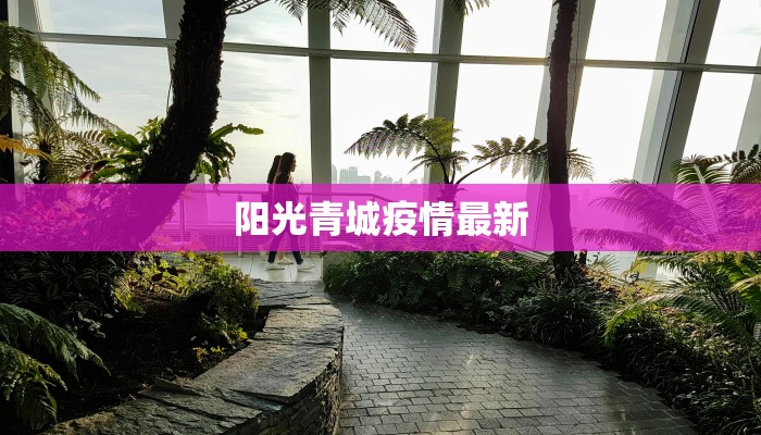 阳光青城疫情最新