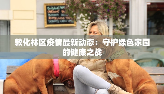 敦化林区疫情最新动态：守护绿色家园的健康之战