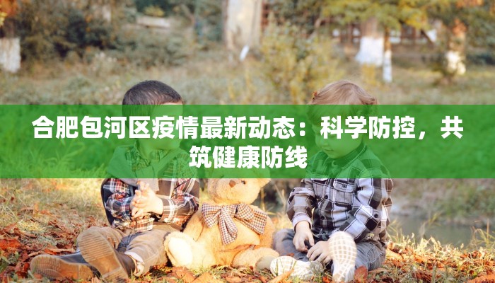 合肥包河区疫情最新动态：科学防控，共筑健康防线