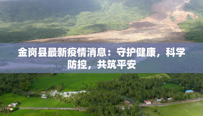 金岗县最新疫情消息：守护健康，科学防控，共筑平安