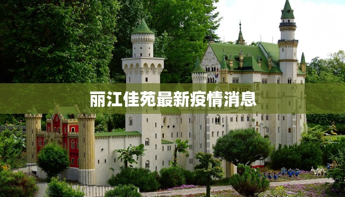 丽江佳苑最新疫情消息