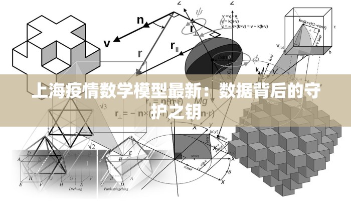 上海疫情数学模型最新：数据背后的守护之钥