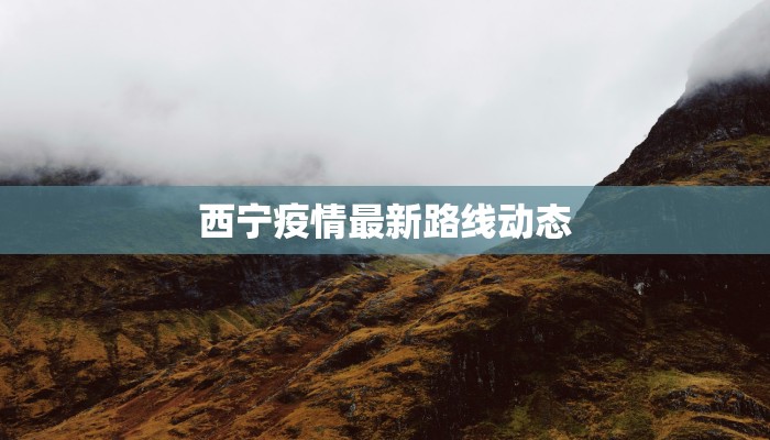 大兴今日疫情最新