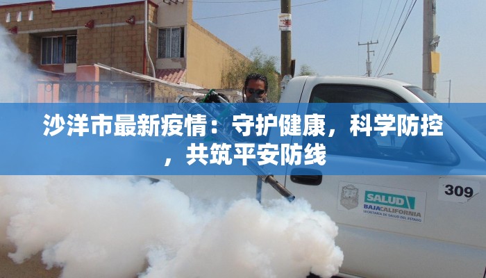 沙洋市最新疫情：守护健康，科学防控，共筑平安防线