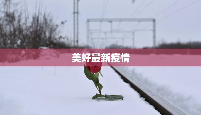 美好最新疫情