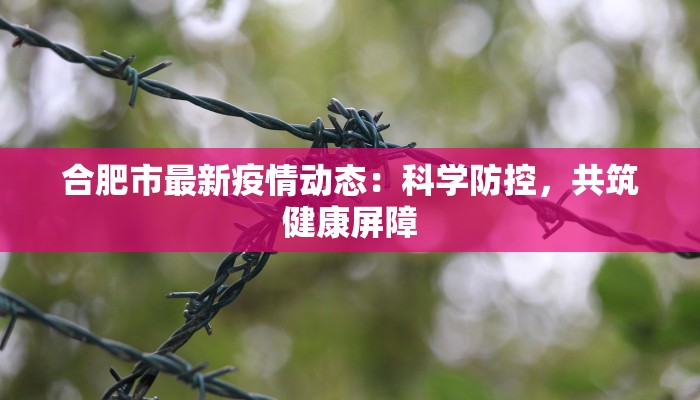 合肥市最新疫情动态：科学防控，共筑健康屏障