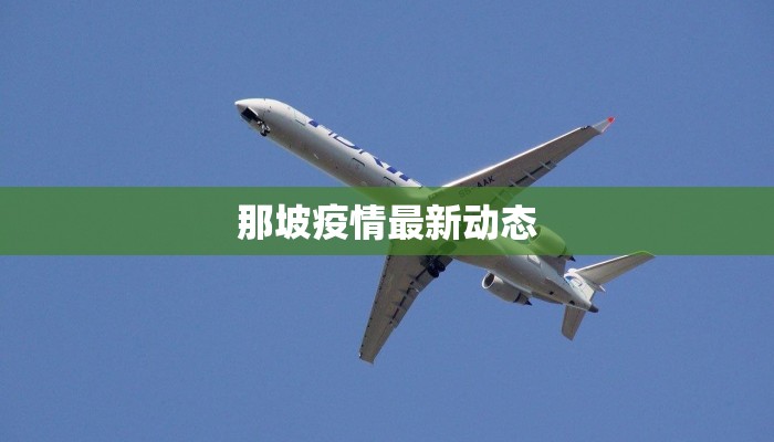 那坡疫情最新动态