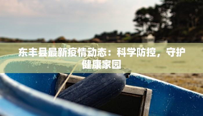 东丰县最新疫情动态：科学防控，守护健康家园