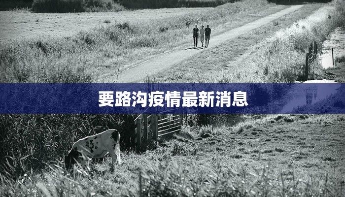 要路沟疫情最新消息