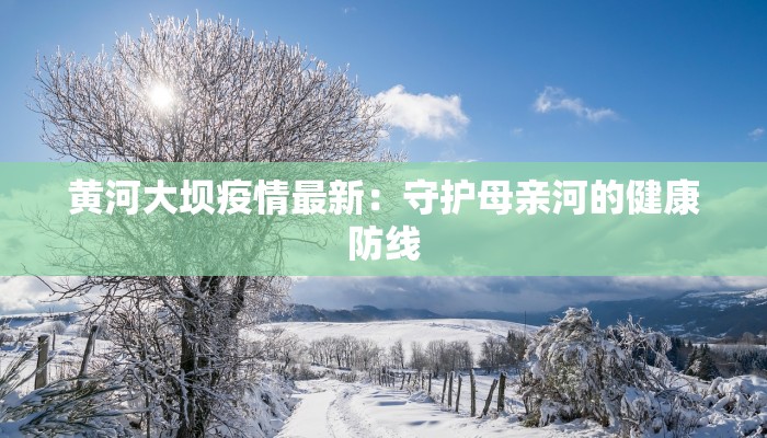 黄河大坝疫情最新：守护母亲河的健康防线